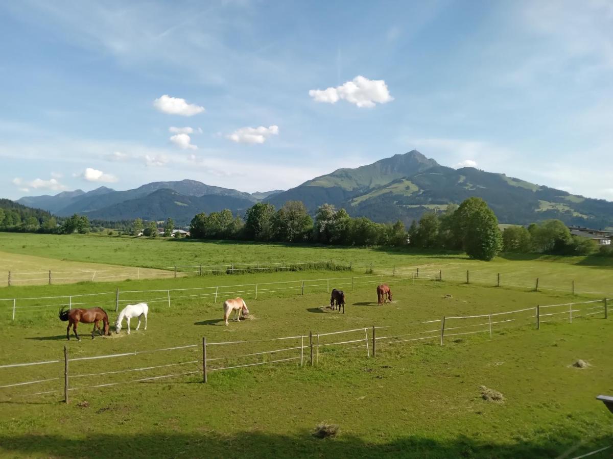 Apartment-Pension Schmiedererhof Sankt Johann in Tirol Luaran gambar